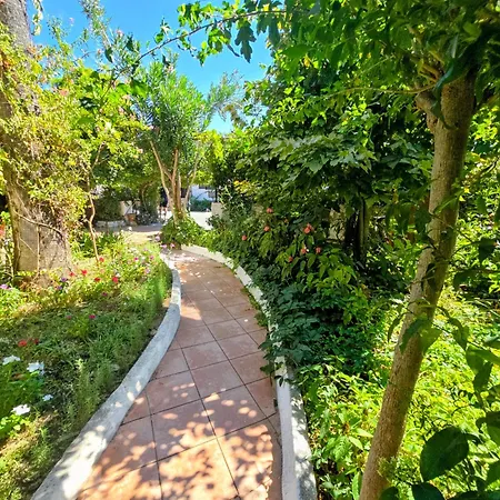 Akman Koycegiz (Mugla)